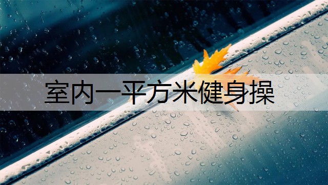 室内一平方米健身操